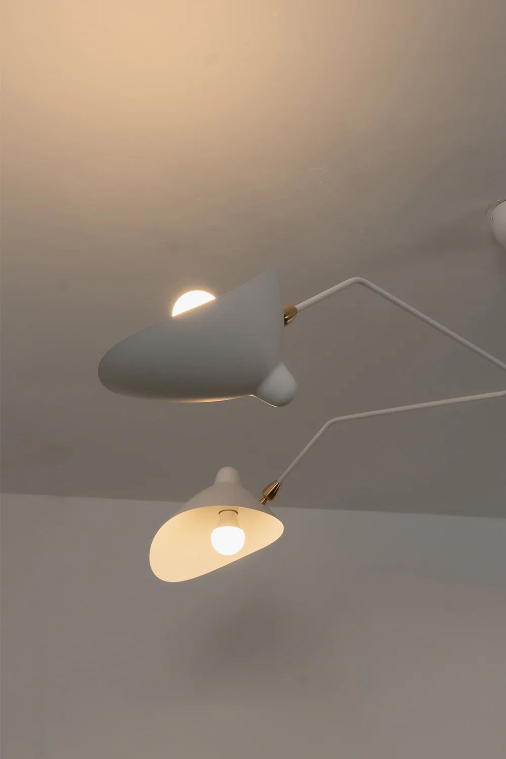 Thumbnail 13